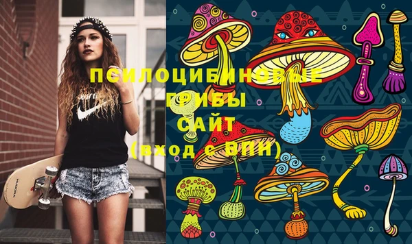 гашик Абаза