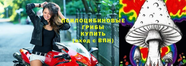 крисы Абдулино