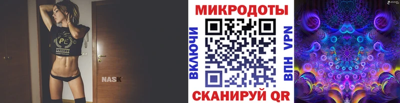 как найти наркотики  Тутаев  Псилоцибиновые грибы Psilocybe 