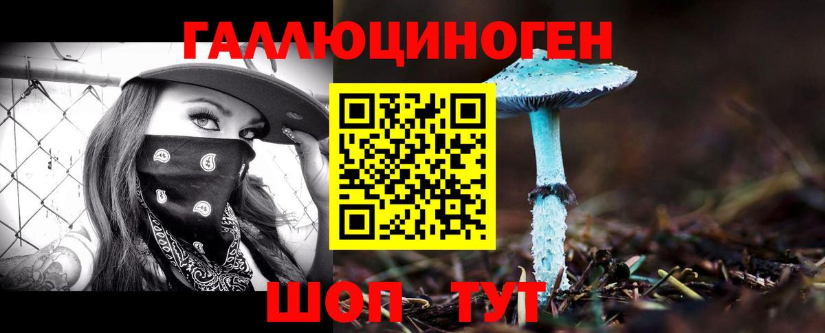 Псилоцибиновые грибы Psilocybe Тутаев