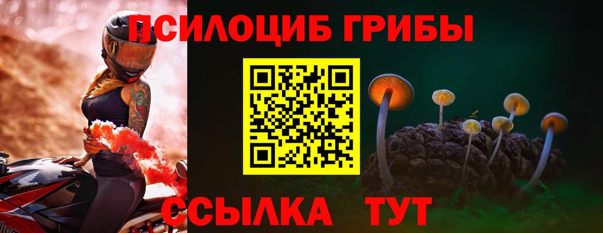 Тутаев  Псилоцибиновые грибы Psilocybine cubensis  Вход с VPN 
